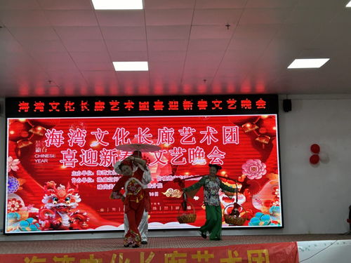 市文促會海灣文化長廊藝術(shù)團(tuán)舉辦喜迎新春文藝晚會